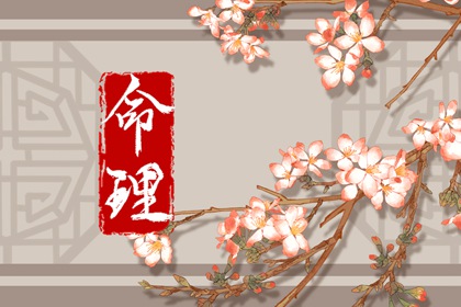 取名测字,取名测分打分,取名五行分析,女婴起名,古诗文取名,千金起名字